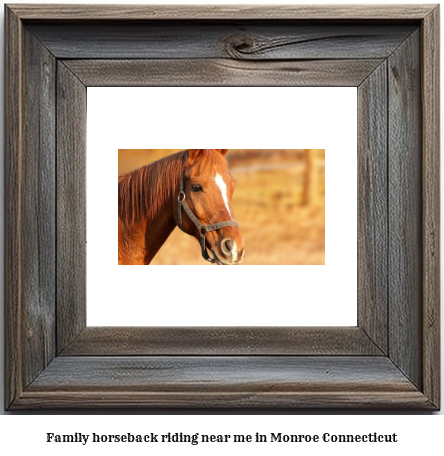 family horseback riding near me in Monroe, Connecticut